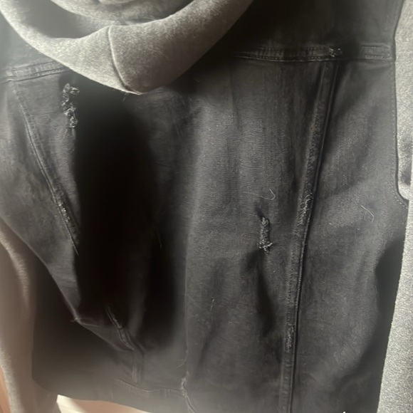 Hollister Jacket - Picture 8 of 10